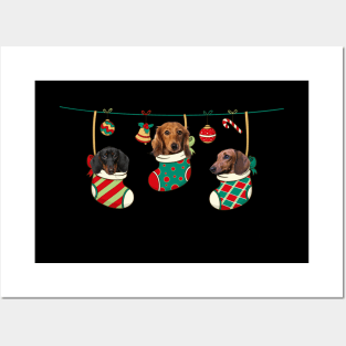 Funny Three Dachshund In Sock Christmas Posters and Art